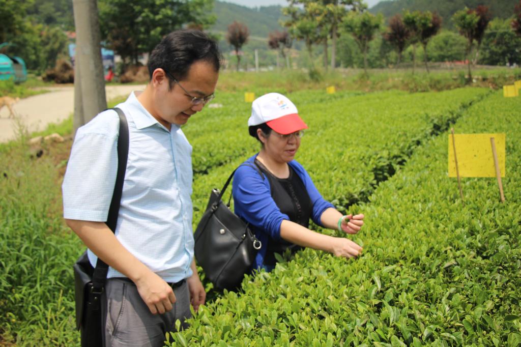 教师进农户，理论下基层——永利yl23411全体党员教师赴英山县乌云山村学习调研
